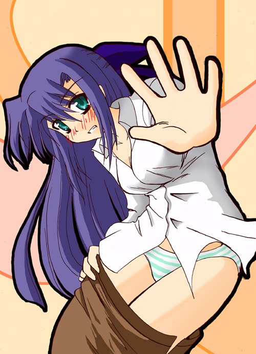 ginga nakajima, lyrical nanoha, mahou shoujo lyrical nanoha, mahou shoujo lyrical nanoha strikers, 00s, blush, green eyes, panties, purple hair, solo, underwear, undressing