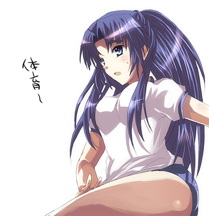 inui nagi, asakura ryoko, suzumiya haruhi no yuuutsu, lowres, 00s, 1girl, blue eyes, blue hair, blush, breasts, buruma, female focus, gym uniform, long hair, matching hair/eyes, open mouth, ponytail, simple background, solo, sweatdrop, white background
