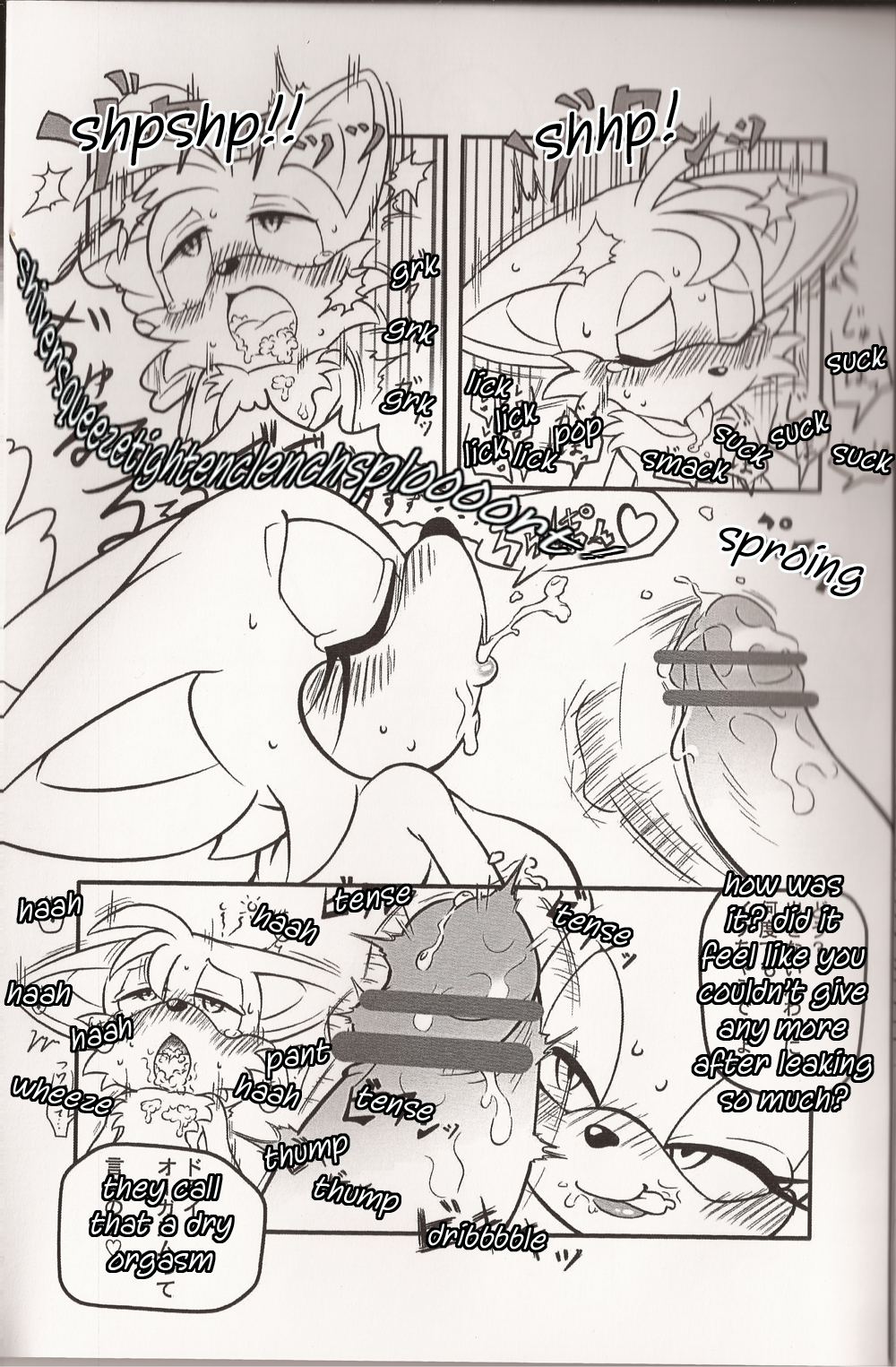 Rule34 – If it exists, there is porn of it / rouge the bat, tails / 40083