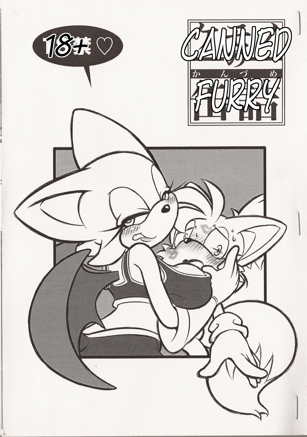 Rule34 – If it exists, there is porn of it / rouge the bat, tails / 40171
