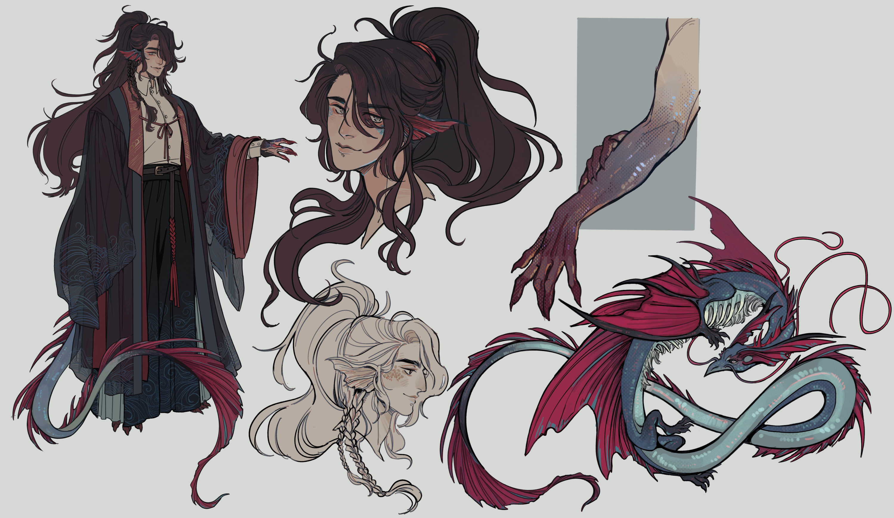 wicksandwheat, commission, highres, 1boy, belt buckle, braid, buckle, claws, closed mouth, collared shirt, dragon, eastern dragon, eastern dragon tail, fingernails, fins, full body, grey background, hakama, hakama pants, head fins, japanese clothes, kimono, long hair, looking at viewer, male focus, multiple views, pants, pointy ears, ponytail, portrait, profile, reference sheet, scales, sharp fingernails, shirt, standing, very long hair