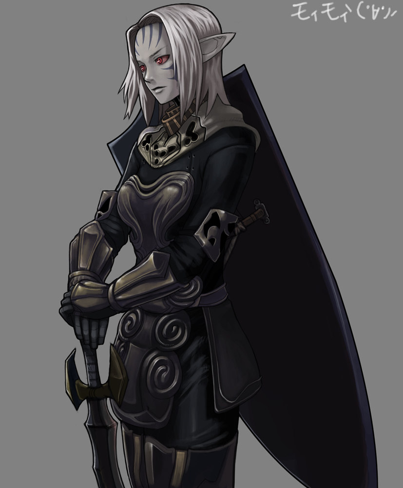 ark angel ev, elvaan, final fantasy, final fantasy xi, translation request, ark angel, armor, elf, grey skin, pointy ears, red eyes, shield, solo, sword, weapon, white hair
