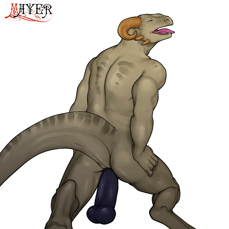 Rule34 – If it exists, there is porn of it / mayer0, argonian / 40954
