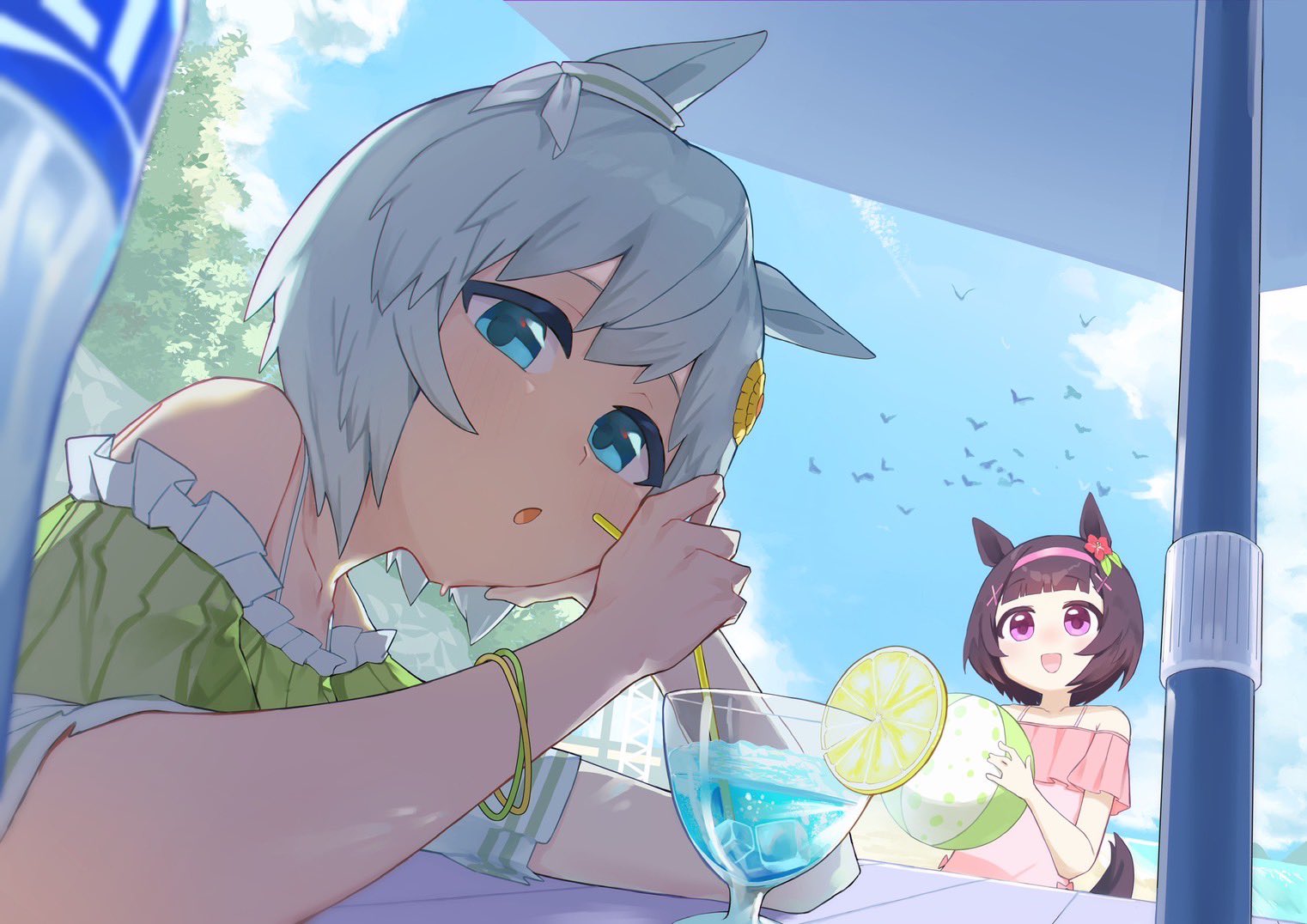 tetra (ktet4 illu), nishino flower (umamusume), seiun sky (umamusume), umamusume, 2girls, alternate costume, animal ears, ball, bare shoulders, beach, beachball, bikini, blue eyes, blue sky, blunt bangs, blush, bottle, bracelet, breasts, brown hair, collarbone, cup, drinking glass, ear ornament, flower, food, fruit, green bikini, grey hair, hair flower, hair ornament, hairband, hairclip, holding, holding ball, holding beachball, horse ears, horse girl, horse tail, jewelry, lemon, lemon slice, looking at viewer, multiple girls, ocean, one-piece swimsuit, open mouth, outdoors, pink hairband, pink one-piece swimsuit, purple eyes, short hair, sky, smile, sunflower, sunflower hair ornament, swimsuit, tail, tree, umbrella, water, water bottle, x hair ornament