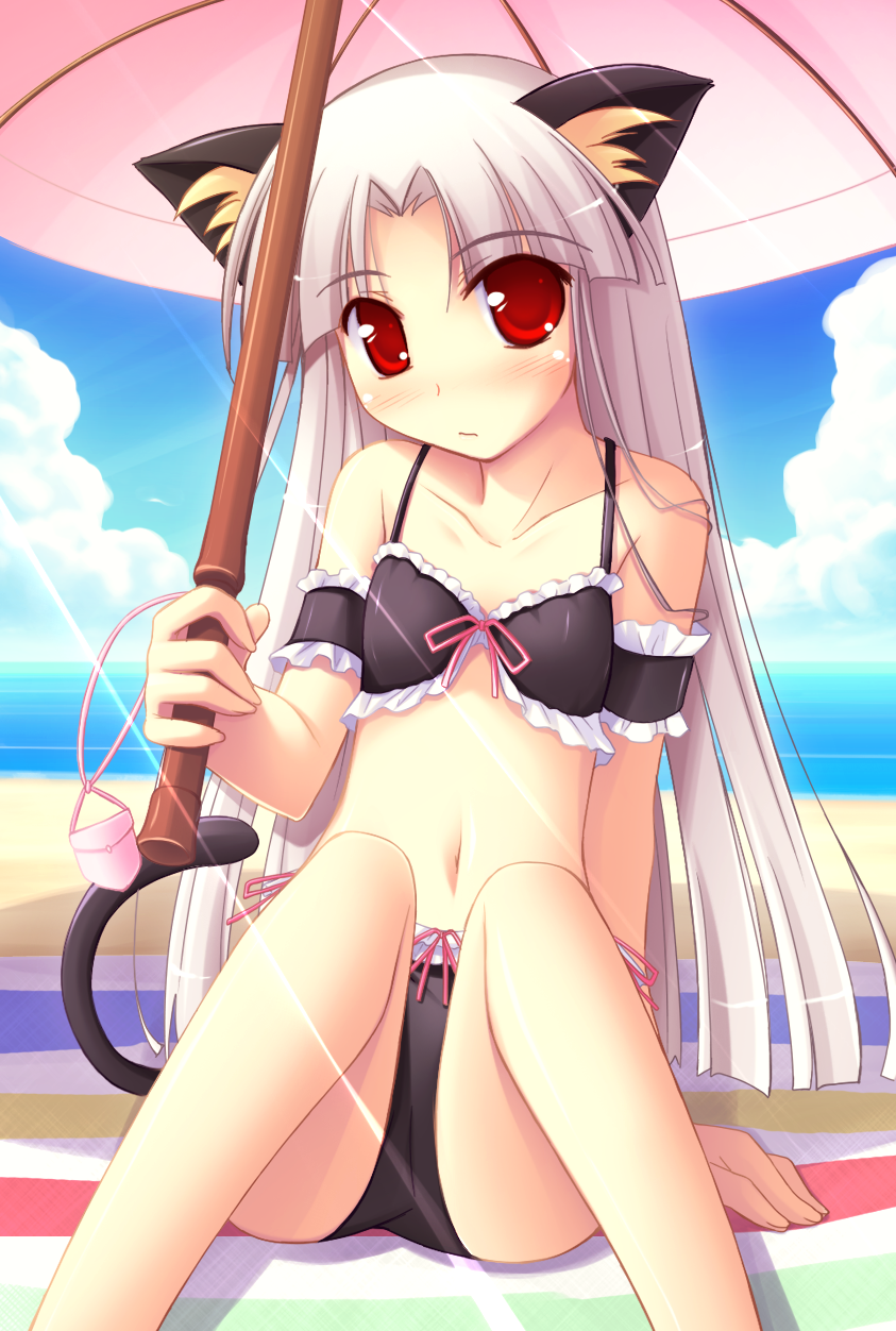 ko~cha, shikimori ibuki, happiness!, highres, 00s, 1girl, albino, animal ears, beach, bikini, black bikini, blush, cat ears, cat tail, day, female focus, flat chest, long hair, outdoors, red eyes, sitting, solo, swimsuit, tail, umbrella, white hair