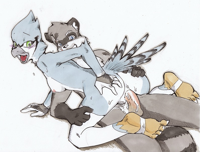 Rule34 – If it exists, there is porn of it / daigaijin, dawn (pokemon), zapher / 41451