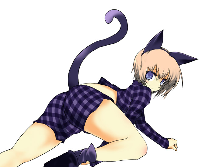 aoguu, original, tagme, animal ears, cat ears, cat tail, solo, tail