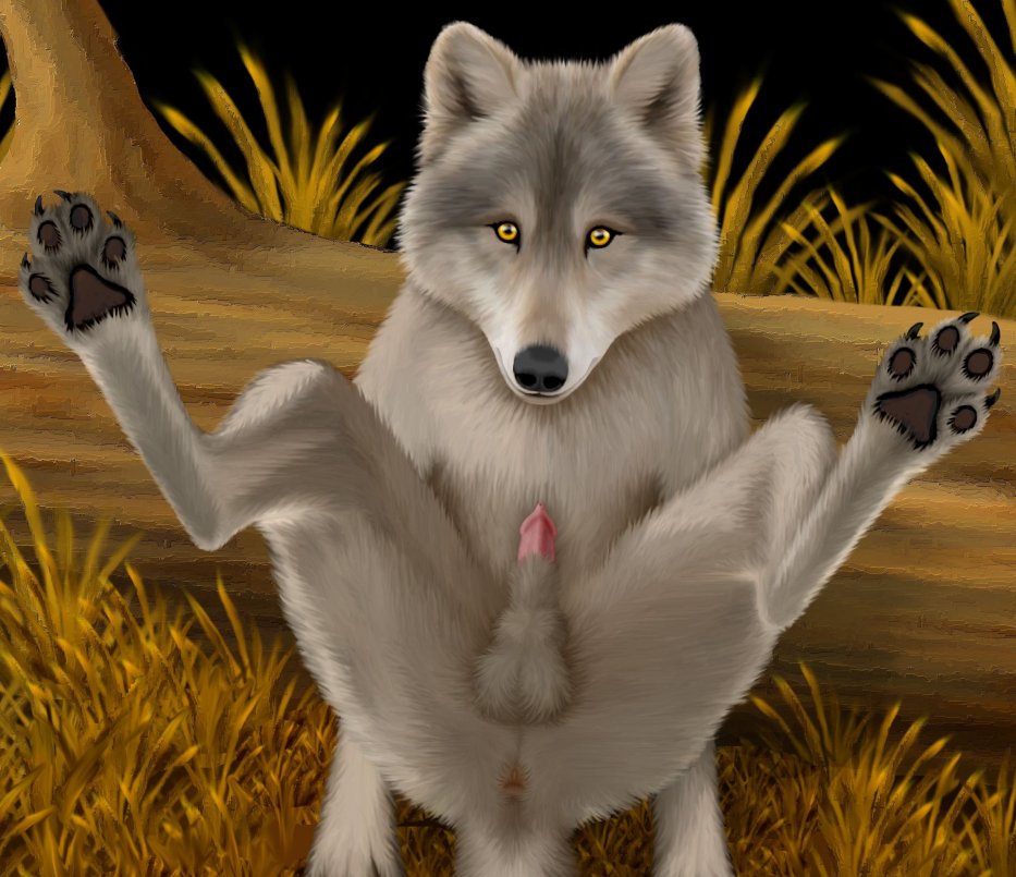 Rule34 – If it exists, there is porn of it / ebon lupus / 41781
