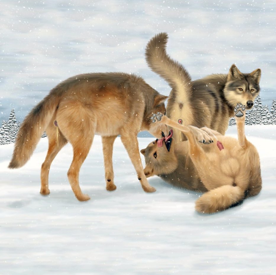 Rule34 – If it exists, there is porn of it / ebon lupus / 41795