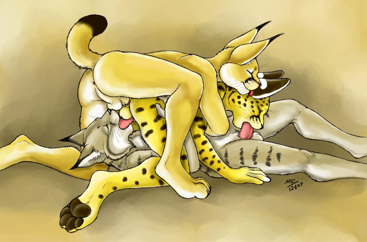 Rule34 – If it exists, there is porn of it / moodyferret / 42223