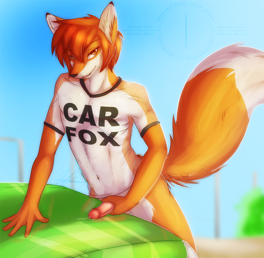 Rule34 – If it exists, there is porn of it / wing-of-chaos, car fox / 42521