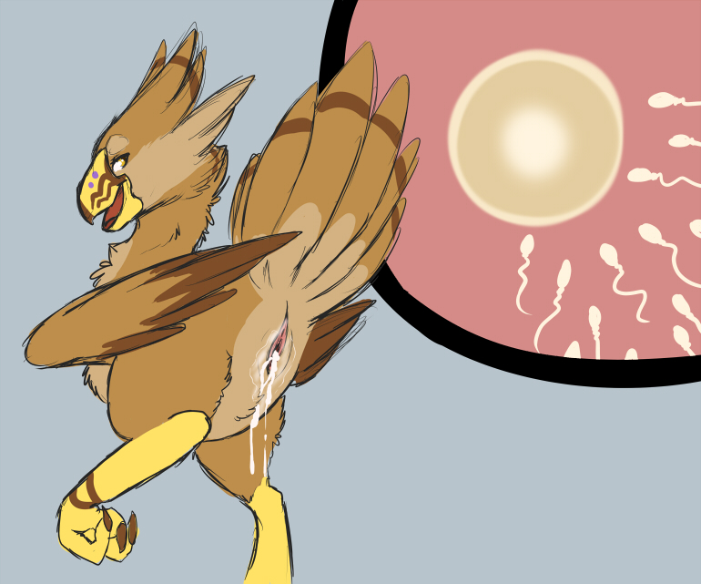 Rule34 – If it exists, there is porn of it / rika, chocobo / 43393