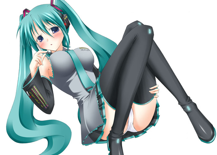 hatsune miku, vocaloid, long hair, panties, solo, thighhighs, twintails, underwear, very long hair, zettai ryouiki