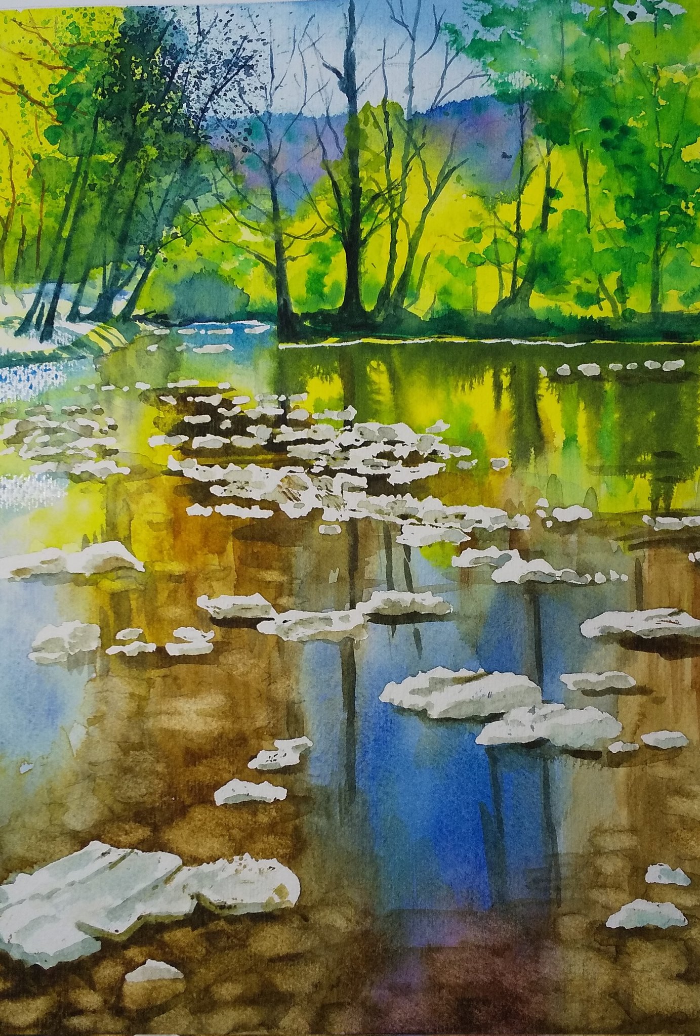 monsisiro411823, original, highres, painting (medium), traditional media, watercolor (medium), bare tree, blue sky, dappled sunlight, day, forest, nature, no humans, pebble, plant, reflection, reflective water, scenery, shallow water, sky, sunlight, tree, water