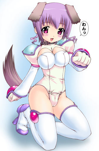 kakogawa tarou, 1girl, animal ears, breasts, cameltoe, dog ears, dog tail, female focus, large breasts, solo, tail, thighhighs