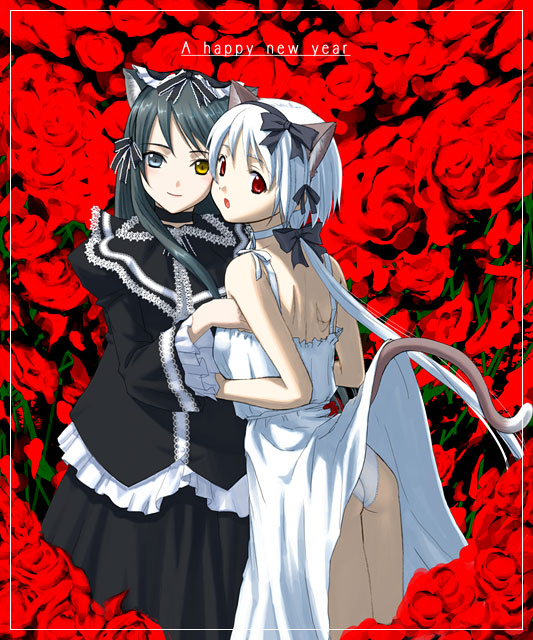 2girls, albino, animal ears, black hair, cat ears, cat tail, heterochromia, multiple girls, panties, pantyshot, red eyes, tail, underwear, white hair, yuri