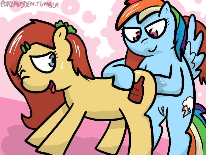 Rule34 – If it exists, there is porn of it / pokehidden, sirachi, rainbow dash (mlp) / 44959