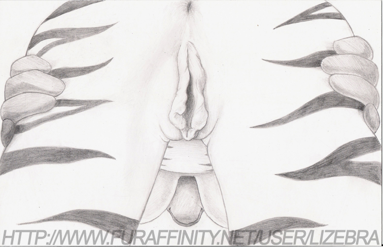 Rule34 – If it exists, there is porn of it / lizebra / 45007