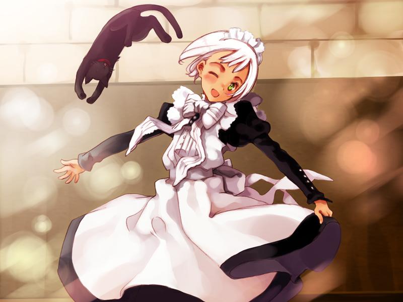ooyari ashito, lita, littlewitch, rondo leaflet, game cg, 1girl, black cat, blurry, bokeh, cat, dark-skinned female, dark skin, depth of field, female focus, green eyes, head tilt, maid, solo, white hair