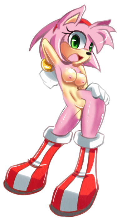 Rule34 – If it exists, there is porn of it / steel tigerwolf, amy rose / 45422