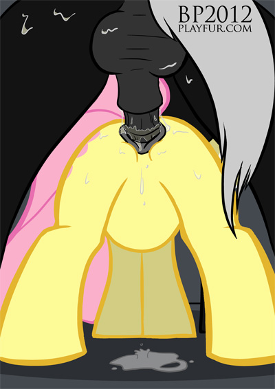 Rule34 – If it exists, there is porn of it / bhavfox, fluttershy (mlp) / 45758