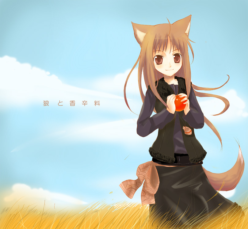 kayune niu, holo, spice and wolf, 00s, 1girl, animal ears, apple, female focus, food, fruit, holding, holding food, holding fruit, solo, tail, wolf ears, wolf tail