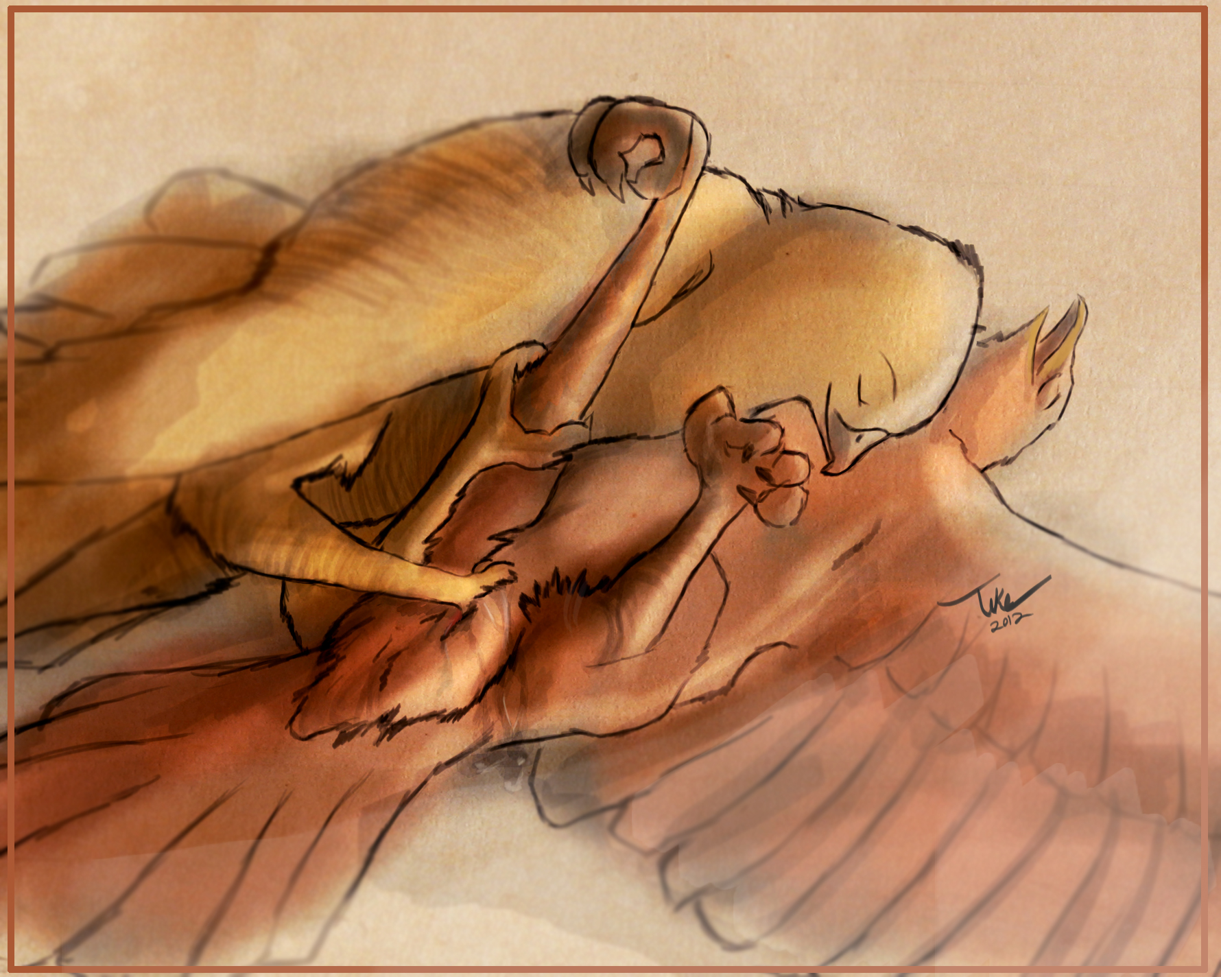 Rule34 – If it exists, there is porn of it / tuke, falcon / 46181