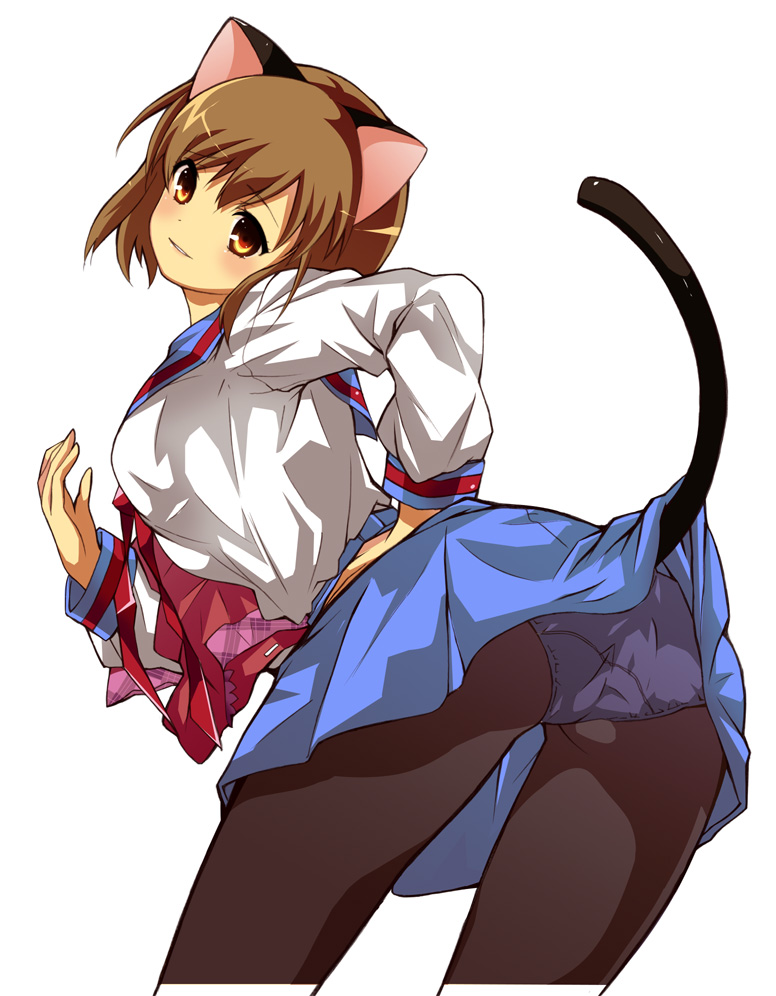 yuutarou, sasaki, sasaki (suzumiya haruhi), suzumiya haruhi no yuuutsu, 00s, 1girl, animal ears, cat ears, cat tail, female focus, panties, panties under pantyhose, pantyhose, school uniform, serafuku, solo, tail, underwear