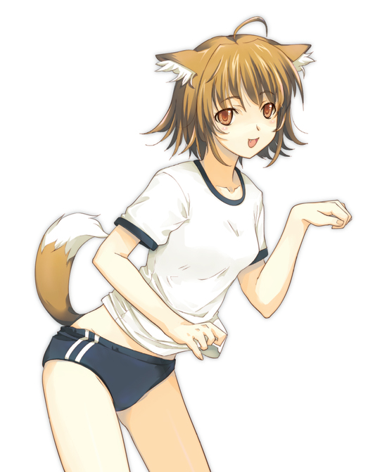 dasoku sentarou, original, animal ears, buruma, double vertical stripe, fox ears, gym uniform, red eyes, solo, tail