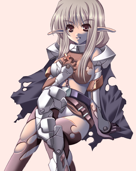 hakoiri nyanko, crusader (ragnarok online), paladin (ragnarok online), ragnarok online, tagme, elf, paladin, pointy ears, solo, thighhighs