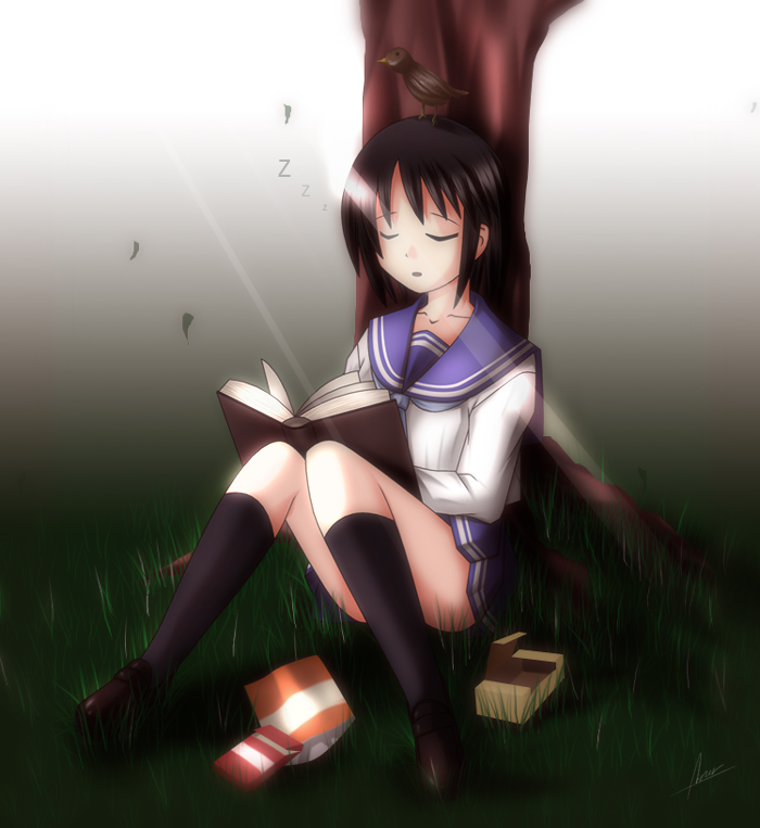aroa, original, 1girl, animal, animal on head, bird, bird on head, book, closed eyes, female focus, kneehighs, on head, school uniform, serafuku, sleeping, socks, solo, tree