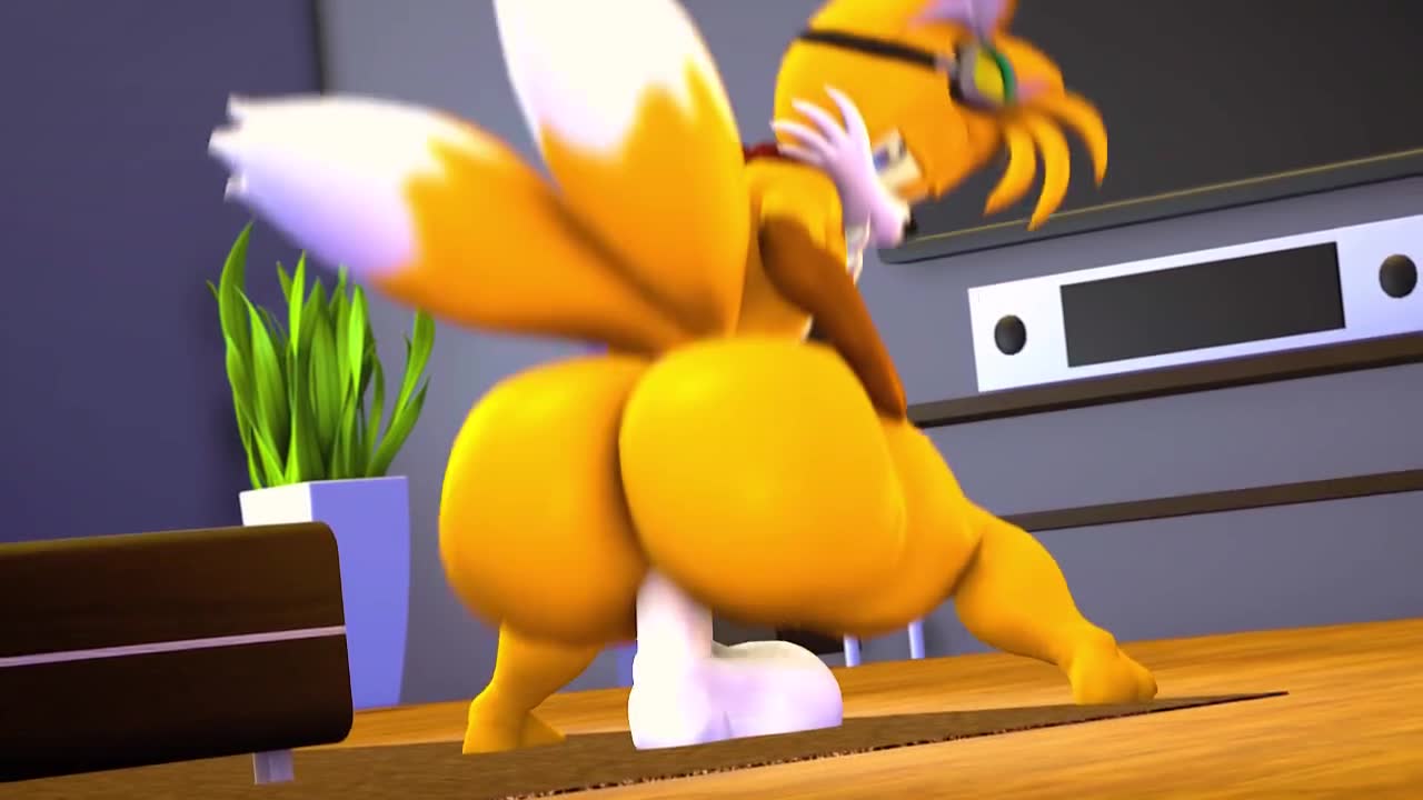Rule34 – If it exists, there is porn of it / tails / 8643552