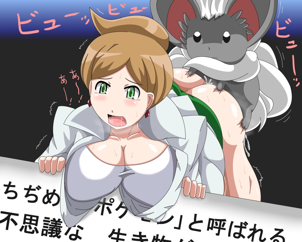 Rule34 – If it exists, there is porn of it / araragi (pokemon), cinccino / 47357