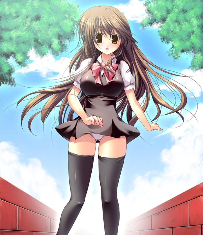 ookami ryousuke, breasts, large breasts, long hair, panties, school uniform, serafuku, solo, thighhighs, underwear, wind, wind lift, zettai ryouiki