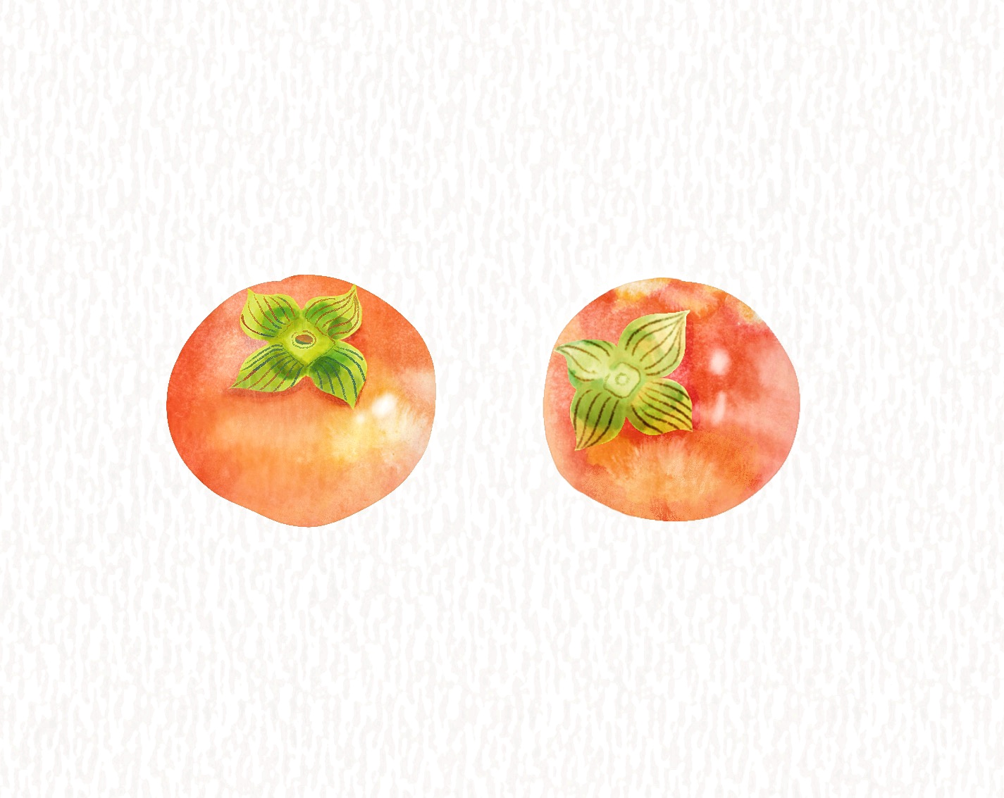 user xapj4875, original, food, fruit, fruit focus, no humans, persimmon, white background