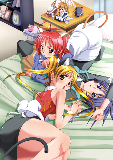 ganakura homu, 3girls, animal ears, bed, cat ears, cat tail, everyone, multiple girls, tail, thighhighs, zettai ryouiki