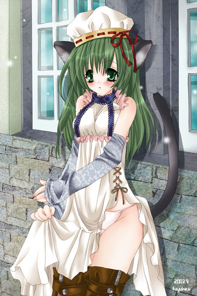 ueda fuyuka, 00s, 1girl, 2009, animal ears, cat ears, cat tail, dress, female focus, long hair, panties, signature, solo, tail, thighhighs, underwear