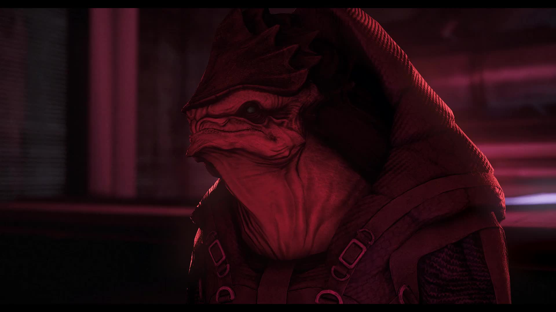 Rule34 – If it exists, there is porn of it / rooking, krogan, turian / 8643614