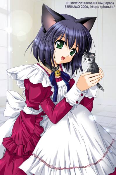 kanna (plum), jpeg artifacts, 1girl, animal ears, baby animal, bell, blue hair, cat, cat ears, collar, dress, female focus, jingle bell, kitten, neck bell, short hair, solo