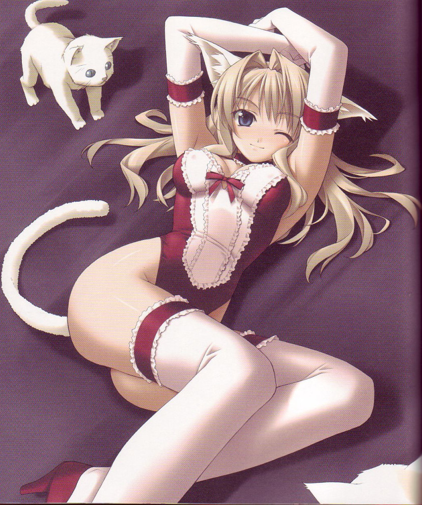 hashimoto takashi, animal ears, cat, cat ears, elbow gloves, film grain, gloves, solo, thighhighs
