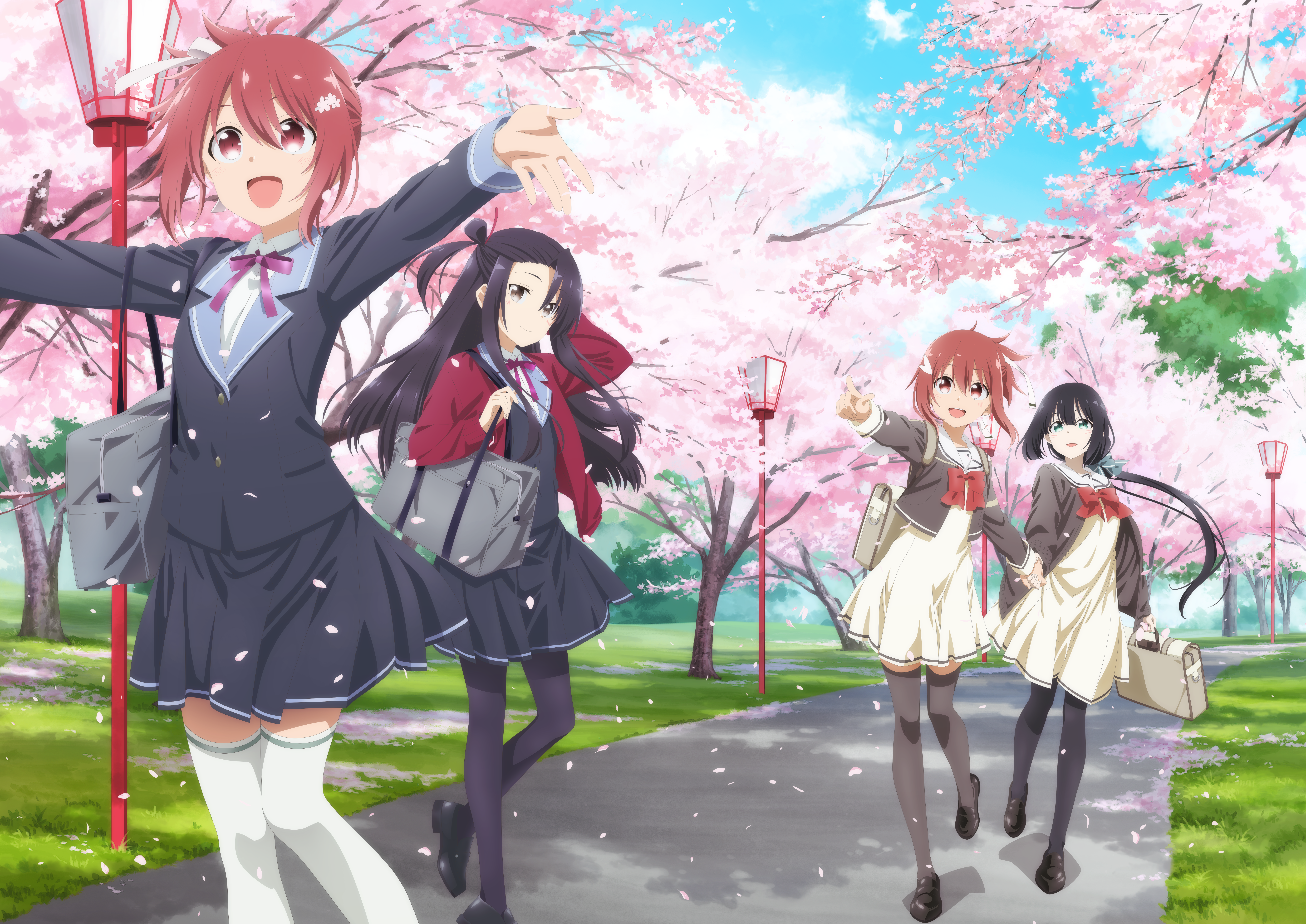 sakai takahiro, koori chikage, takashima yuuna, tougou mimori, yuuki yuuna, nogi wakaba wa yuusha de aru, yuuki yuuna wa yuusha de aru, yuuki yuuna wa yuusha de aru: hanayui no kirameki, yuusha de aru, absurdres, highres, official art, bag, cherry blossoms, dragging, grass, hair ornament, hair ribbon, hair rings, hairpin, holding hands, jacket, lamppost, looking at another, pointing, pointing at another, red jacket, ribbon, school uniform, shoulder bag, skirt, socks, walking, white ribbon, white socks