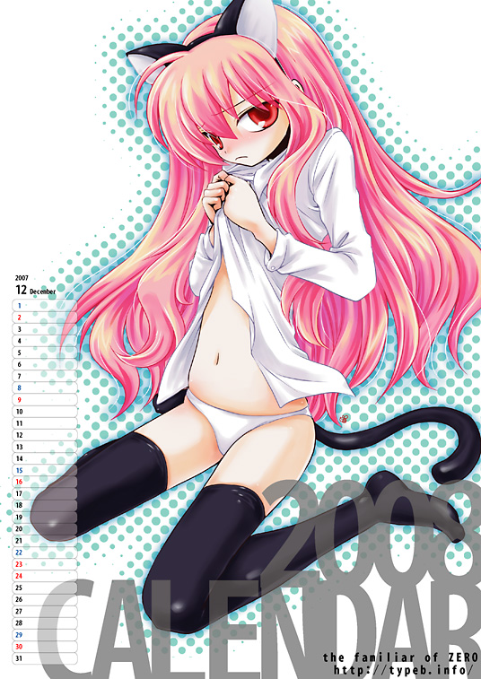 nayumi, louise francoise le blanc de la valliere, zero no tsukaima, 00s, 1girl, 2008, animal ears, cat ears, copyright name, female focus, solo, thighhighs