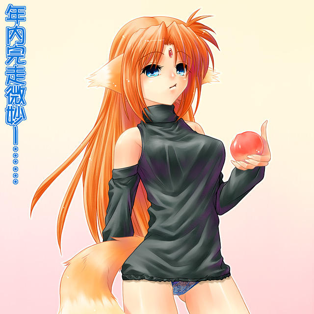 ayato, arf, lyrical nanoha, mahou shoujo lyrical nanoha, translation request, 00s, animal ears, panties, pantyshot, solo, underwear