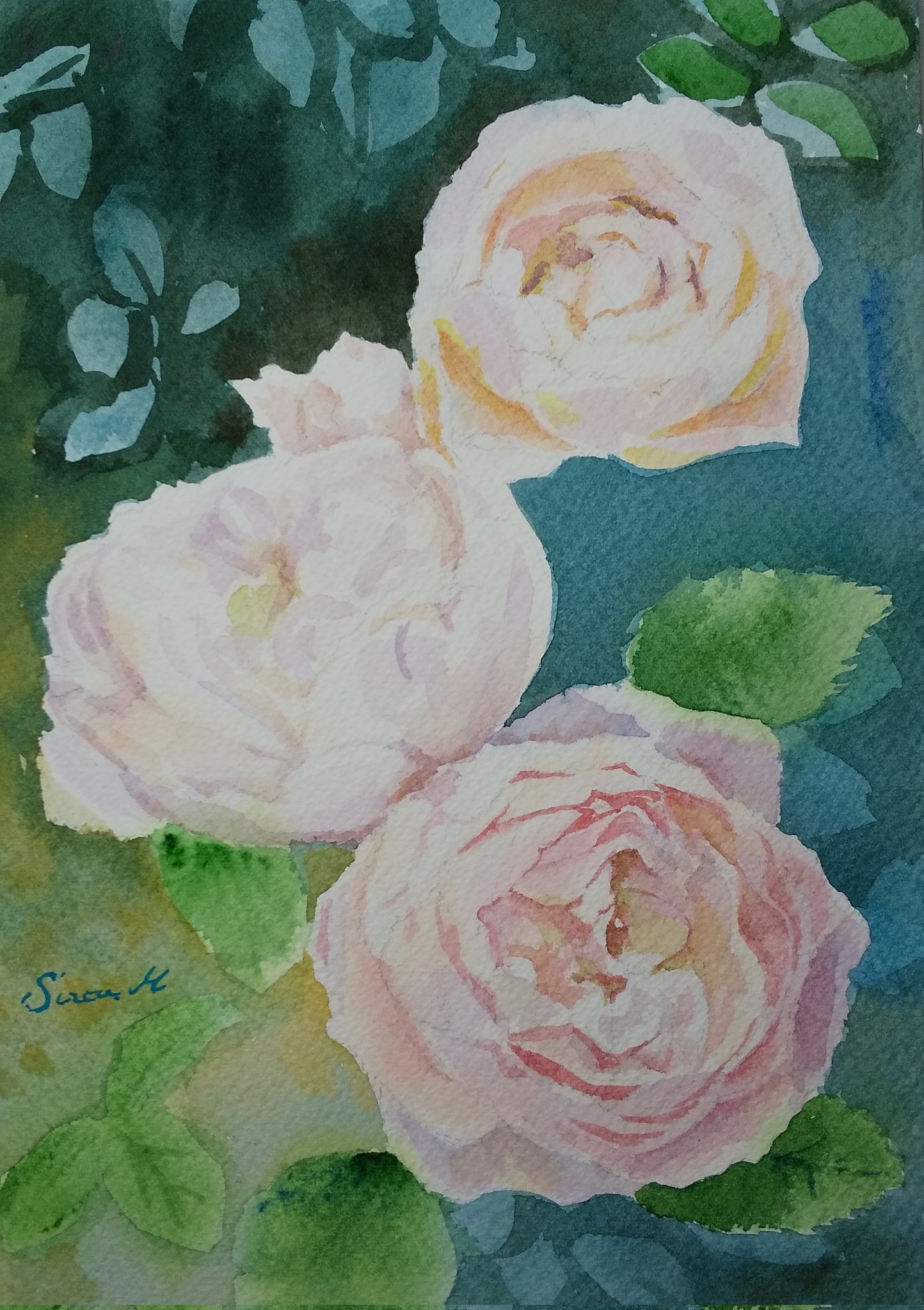 monsisiro411823, original, highres, painting (medium), traditional media, watercolor (medium), flower, flower focus, green background, leaf, no humans, plant, plant focus, rose, still life, white flower, white rose