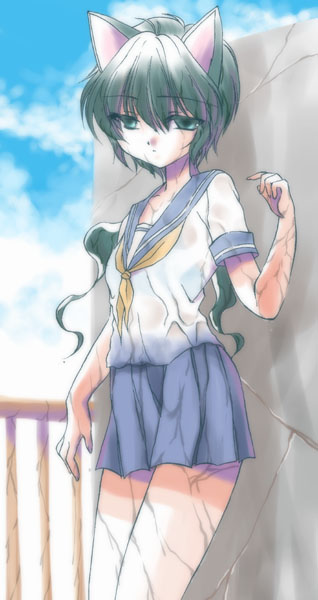 aizawa yoshihiko, wakasugi kanata, original, 1girl, animal ears, cat ears, female focus, school uniform, serafuku, solo