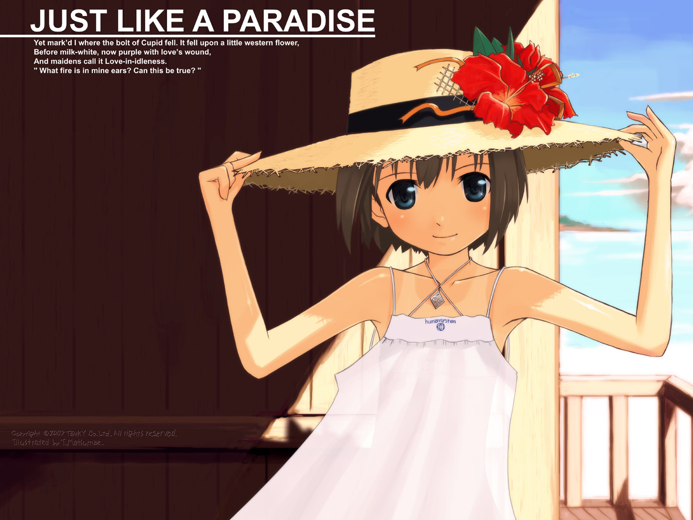 5th coin, matsumae takumi, original, 1girl, blue eyes, brown hair, dress, female focus, flower, hat, hat flower, hibiscus, short hair, solo