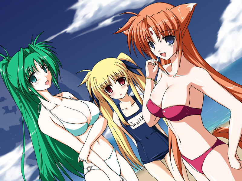 yamaura tamaki, arf, fate testarossa, lindy harlaown, lyrical nanoha, mahou shoujo lyrical nanoha, mahou shoujo lyrical nanoha a's, 00s, 3girls, animal ears, bandeau, beach, bikini, blonde hair, blue eyes, blush, breasts, cleavage, day, facial mark, flat chest, forehead jewel, forehead mark, green eyes, green hair, large breasts, long hair, multiple girls, name tag, o-ring bottom, one-piece swimsuit, outdoors, red eyes, red hair, school swimsuit, swimsuit, tail, twintails, very long hair
