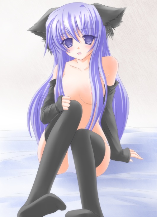 shirotsuki kouta, original, animal ears, cat ears, elbow gloves, gloves, panties, solo, thighhighs, underwear