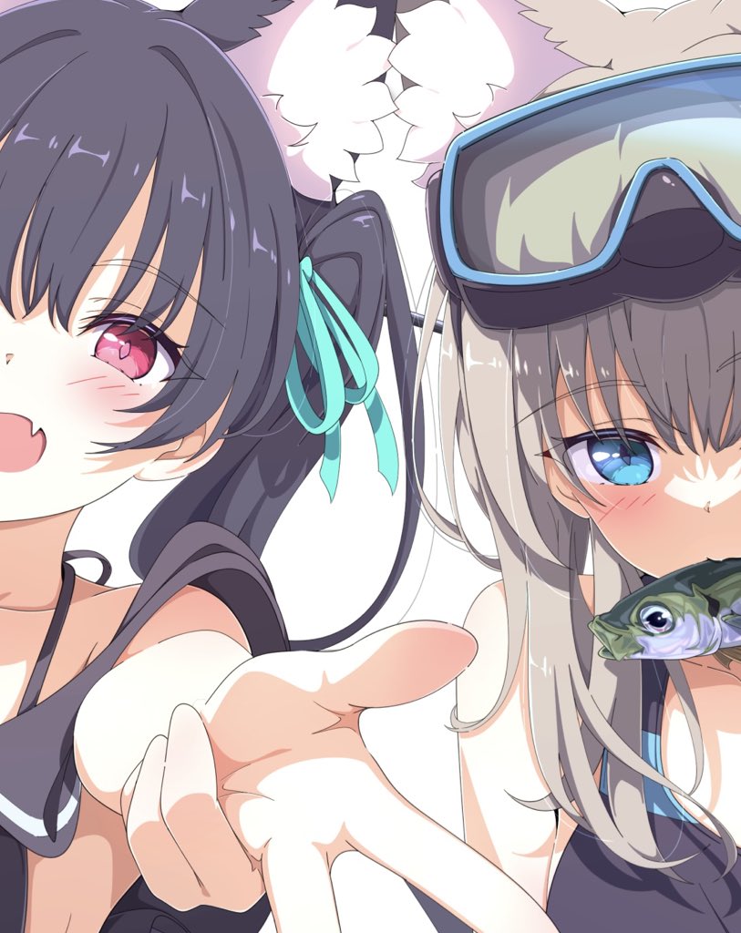 kame (nokonoko10271), serika (blue archive), serika (swimsuit) (blue archive), shiroko (blue archive), shiroko (swimsuit) (blue archive), 2girls, animal ear fluff, animal ears, bikini, black hair, blue eyes, blush, cat ears, diving mask, extra ears, fang, fish, goggles, goggles on head, grey hair, halo, long hair, looking at viewer, mouth hold, multiple girls, official alternate costume, open mouth, reaching, reaching towards viewer, red eyes, ribbon, simple background, skin fang, swimsuit, twintails, white background, wolf ears