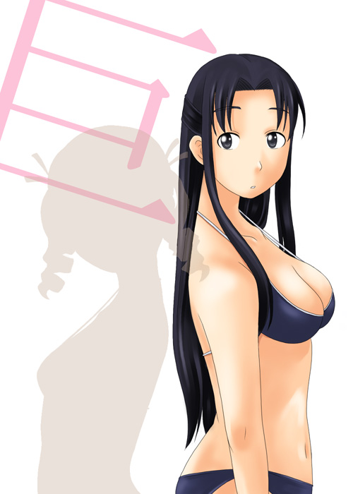 toshifumi, hosokawa kanako, maria-sama ga miteru, 00s, 1girl, bikini, black hair, female focus, half updo, long hair, solo, swimsuit